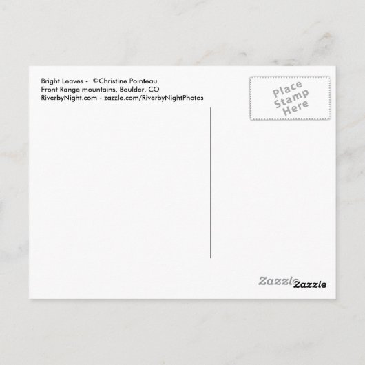 Helle Blätter - CO Postkarte (Rückseite)