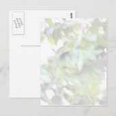 Helle Blätter in der Sonne Postkarte (Vorne/Hinten)