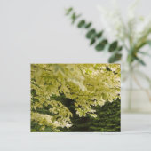 Helle Blätter Postkarte (Stehend Vorderseite)