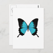 Helle Blau- und Schwarz-Schmetterling Originalfarb Postkarte (Vorne/Hinten)