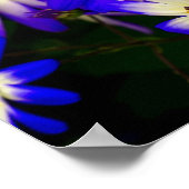 Helle blaue und weiße digitale Blume Poster (Ecke)