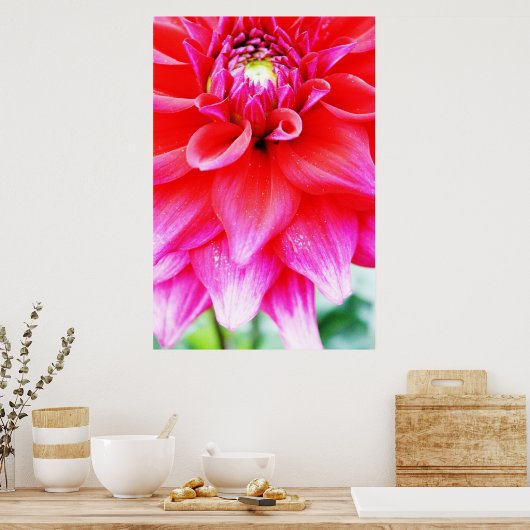 Helle Blume Poster (Küche)