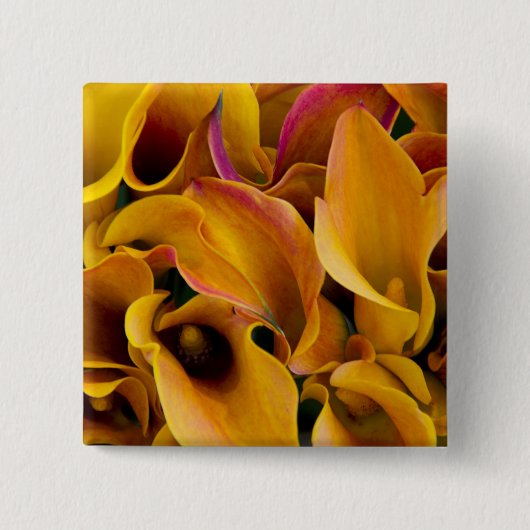 Helle bunte Calla-Lilien auf dem Button (Vorderseite)