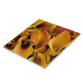 Helle bunte Calla-Lilien auf dem Fliese (Seite)