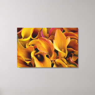 Helle bunte Calla-Lilien auf dem Leinwanddruck