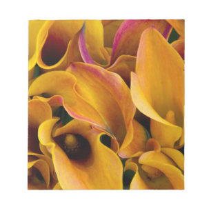 Helle bunte Calla-Lilien auf dem Notizblock