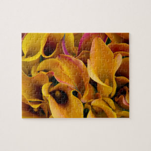 Helle bunte Calla-Lilien auf dem Puzzle