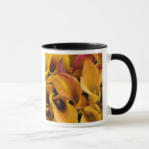 Helle bunte Calla-Lilien auf dem Tasse