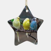 Helle bunte Parakeets Budgies plappert Vögel nach Keramikornament (Rechts)