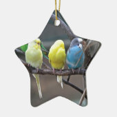 Helle bunte Parakeets Budgies plappert Vögel nach Keramikornament (Links)