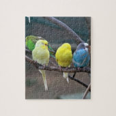Helle bunte Parakeets Budgies plappert Vögel nach Puzzle (Vertikal)