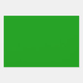 Helle Farben Royal Blue und Green Geschenkpapier Set (Vorderseite 3)