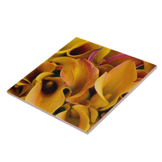 Helle, farbenfrohe Calla-Lilien Fliese (Seite)