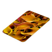 Helle, farbenfrohe Calla-Lilien Magnet (Linke Seite)
