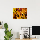 Helle, farbenfrohe Calla-Lilien Poster (Heimbüro)