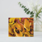 Helle, farbenfrohe Calla-Lilien Postkarte (Stehend Vorderseite)