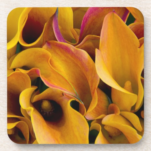 Helle, farbenfrohe Calla-Lilien Untersetzer (Vorderseite)