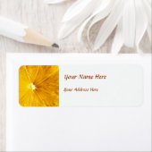 Helle, farbenfrohe Lemon Nah (Insitu)