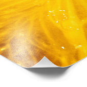 Helle, farbenfrohe Lemon Nah Fotodruck (Ecke)