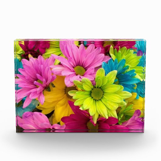 HELLE, FARBHAFTE BLUME FOTOBLOCK (Vorderseite)