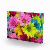 HELLE, FARBHAFTE BLUME FOTOBLOCK (Rechts)