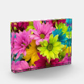 HELLE, FARBHAFTE BLUME FOTOBLOCK (Links)