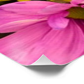 HELLE, FARBHAFTE BLUME POSTER (Ecke)