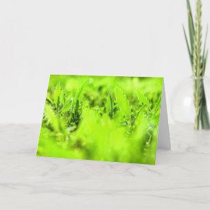 Helle, fröhliche Grüne Pflanze Naturgrün Grußkarte Karte