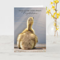 Helle Future Abschluss Card