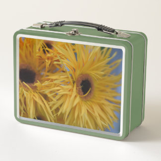 Helle gelbe Margerite Makro-Blumen-Lunchbox – Vibr Metall Brotdose
