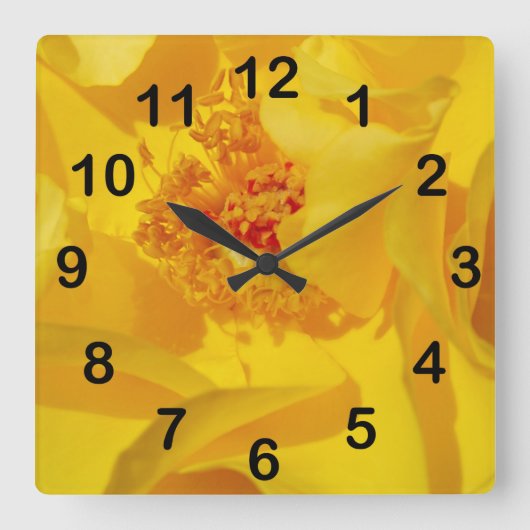 Helle gelbe Rose Quadratische Wanduhr (Vorderseite)