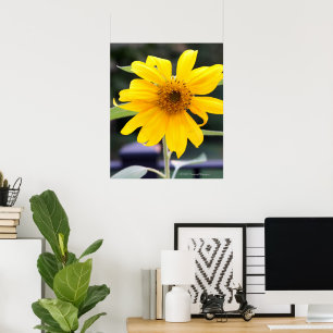 Helle gelbe Sonnenblume Poster