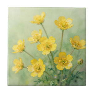 Helle gelbe Wildblume Frühlingswiese Fliese