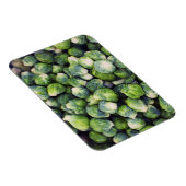 Helle grüne Fresh Brussels Sprossen Magnet (Rechte Seite)