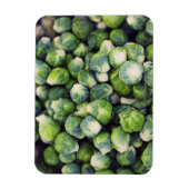 Helle grüne Fresh Brussels Sprossen Magnet (Vertikal)