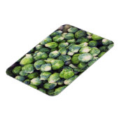 Helle grüne Fresh Brussels Sprossen Magnet (Linke Seite)