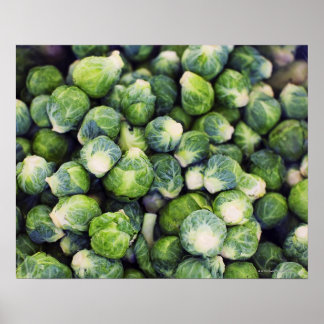 Helle grüne Fresh Brussels Sprossen Poster