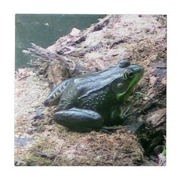 Helle grüne Froschdekoration Fliese