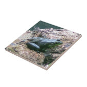 Helle grüne Froschdekoration Fliese (Seite)