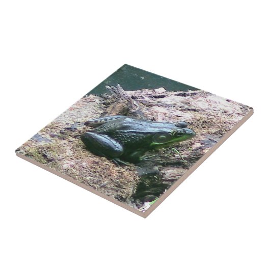 Helle grüne Froschdekoration Fliese (Seite)