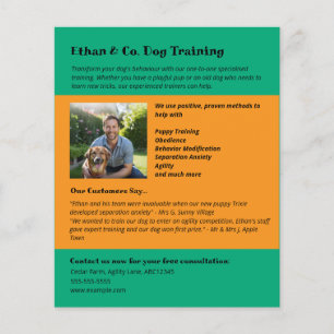 Helle grüne Orangenhundeausbildung Pet Services Flyer