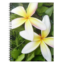 Helle hawaiianische Blume Foto Spiral Notebook Notizblock