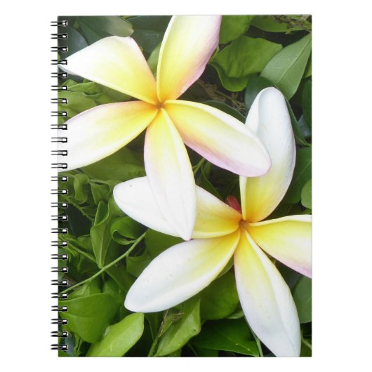 Helle hawaiianische Blume Foto Spiral Notebook Notizblock (Vorderseite)