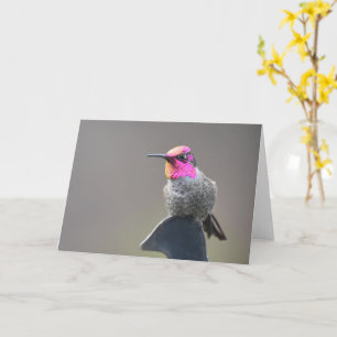 Helle Hummingbird - Kunstkarte Karte