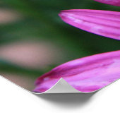 Helle Lila Blume Poster (Ecke)