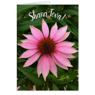 Helle Lila Coneflower Rosh Hashanah Card