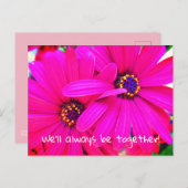 Helle Lila Garden Blume Osteospermum Postkarte (Vorne/Hinten)