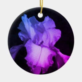 Helle Lila Iris Foto Keramik Ornament Aus Glas