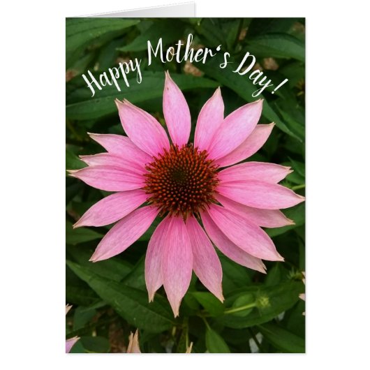 Helle Lila Muttertagskarte (Vorne)