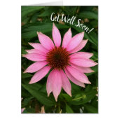 Helle Lila Sitzblende wird bald gut. (Vorne)